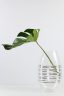Barbini Vase Murano