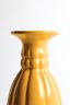 Primavera-CAB-jaune-D1