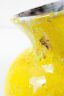 Arlette-Roux-Pichet-jaune-D11