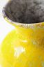 Arlette-Roux-Pichet-jaune-D5