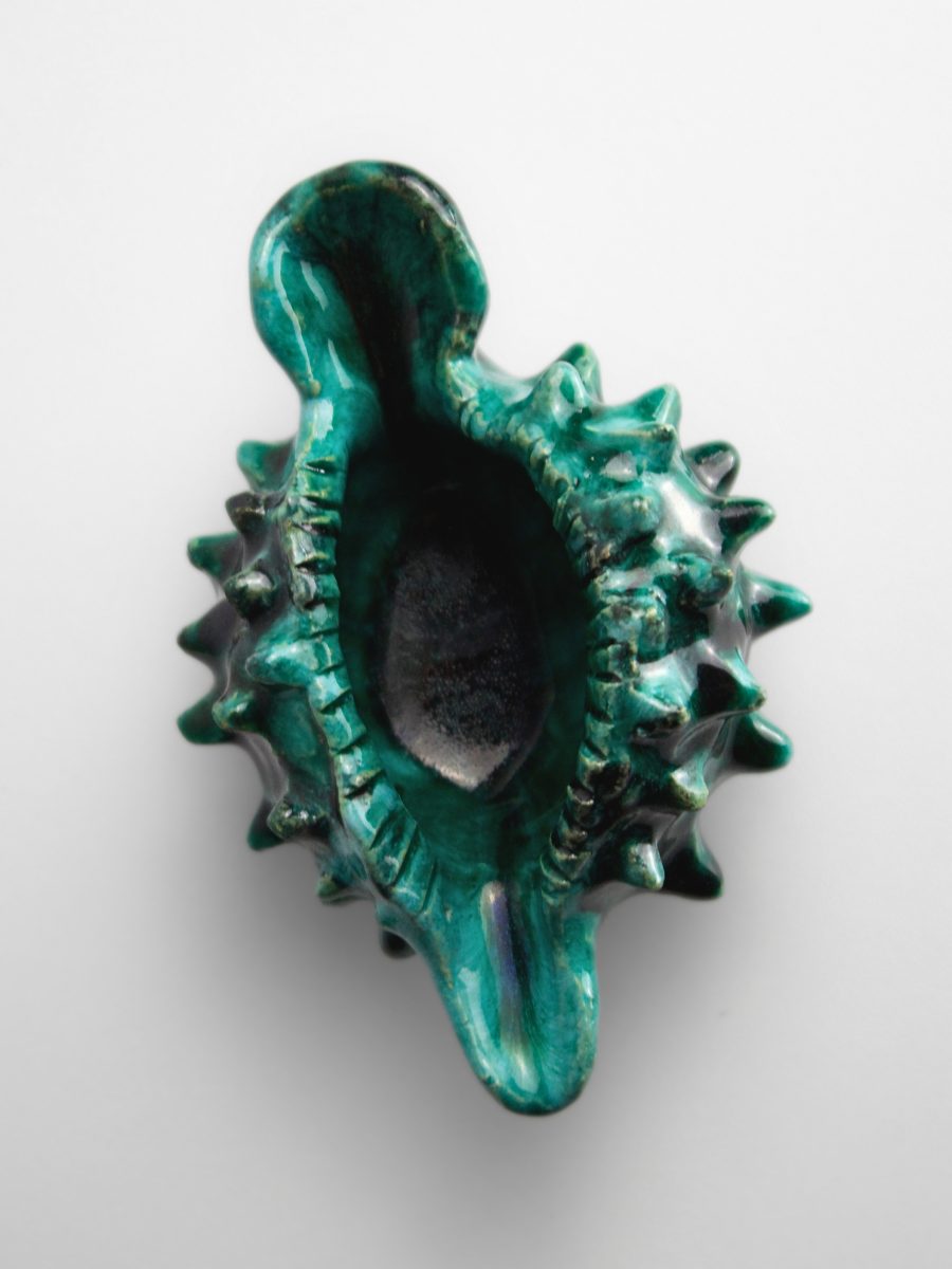 Alice-colonieu-coquillage-D1