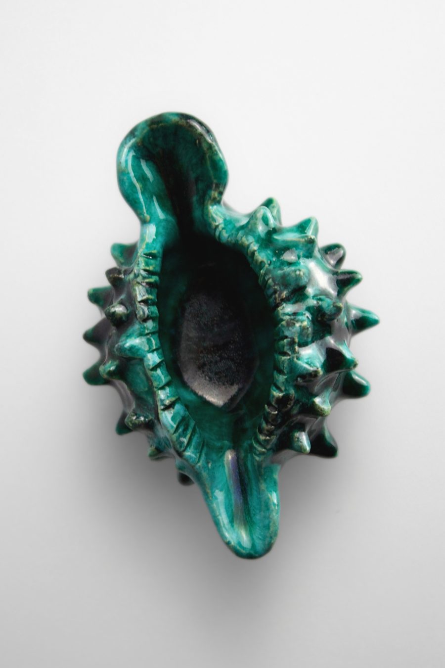 Alice-colonieu-coquillage-D1