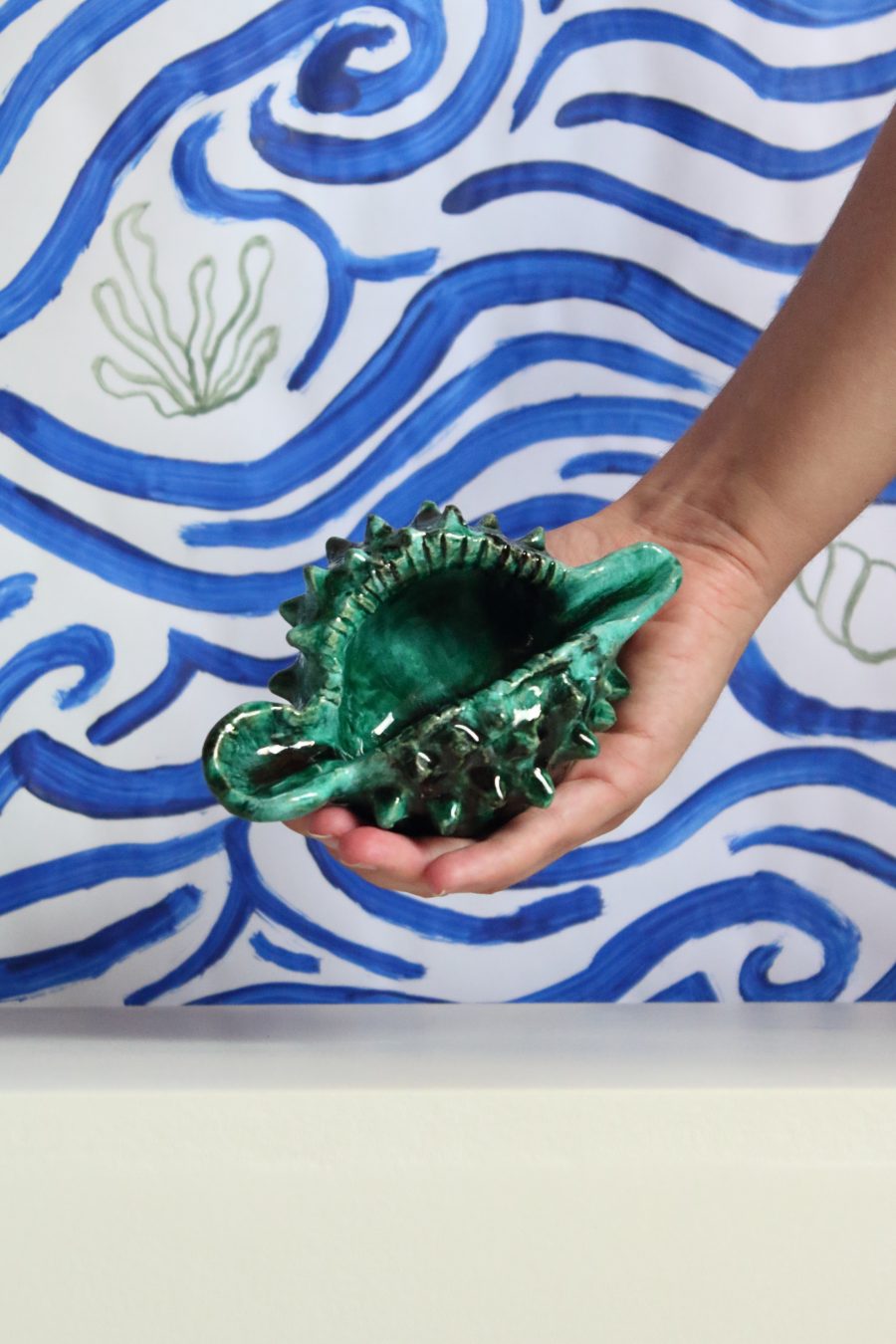 Alice-colonieu-coquillage-main